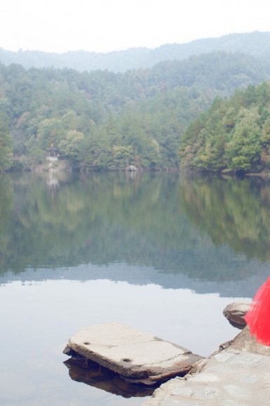 大蒜价格多少钱一斤?大蒜种植成本利润分析【开运 SPORTS】(图2) 开运体育(中国)官方网站